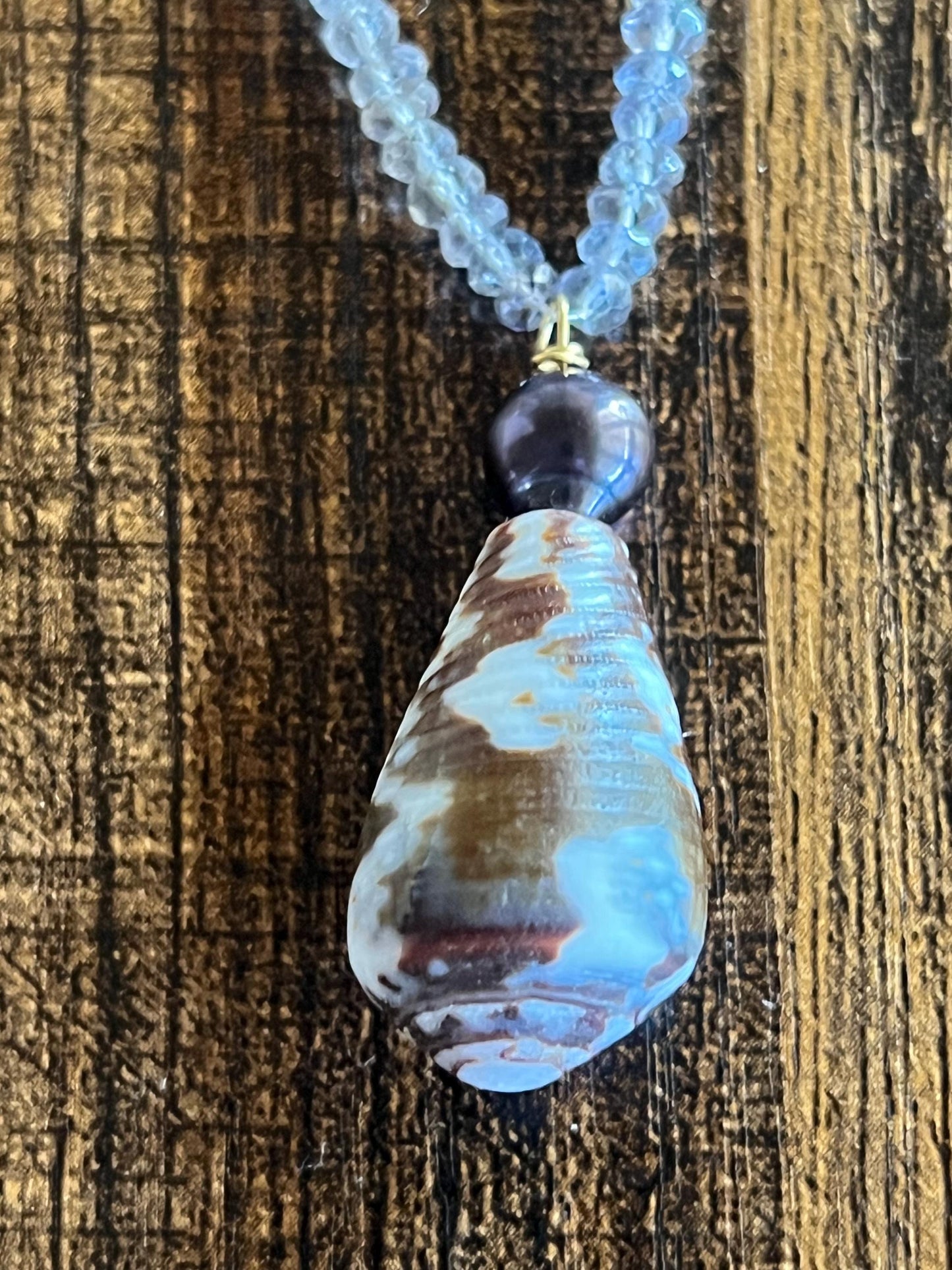 Gifts of the Sea Cone Shell