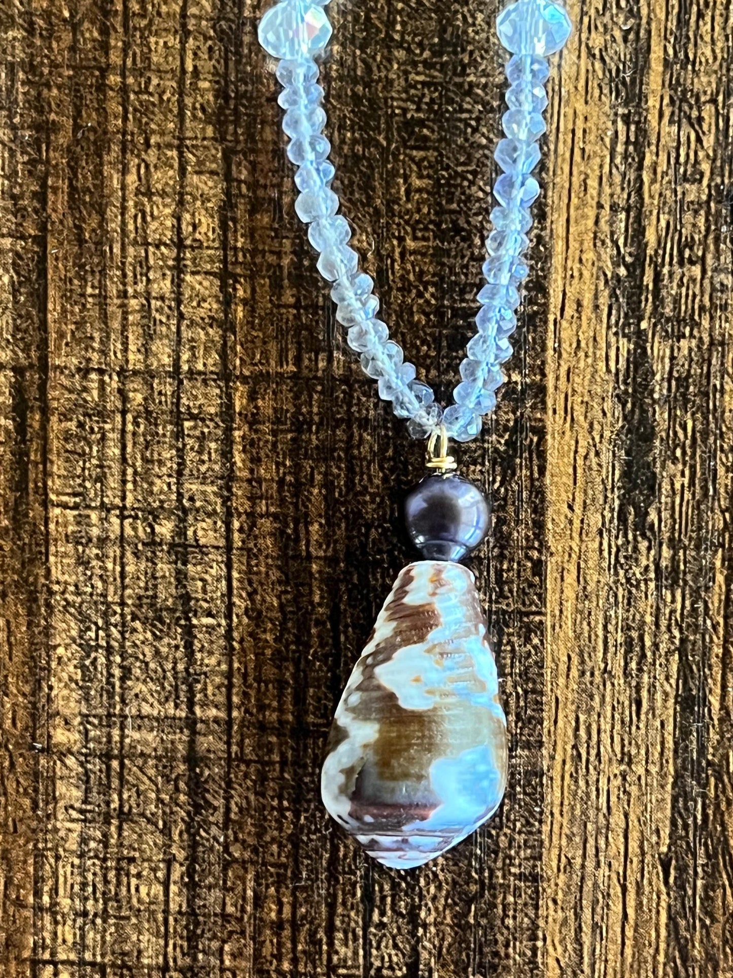 Gifts of the Sea Cone Shell