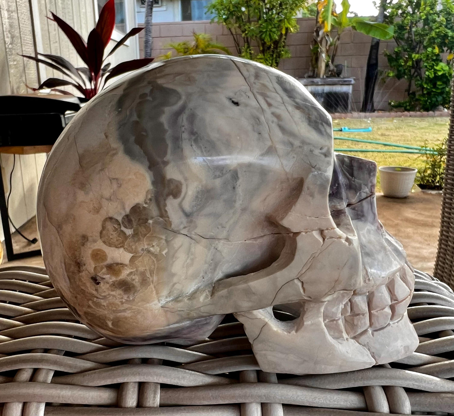 New Earth Crystal Skull