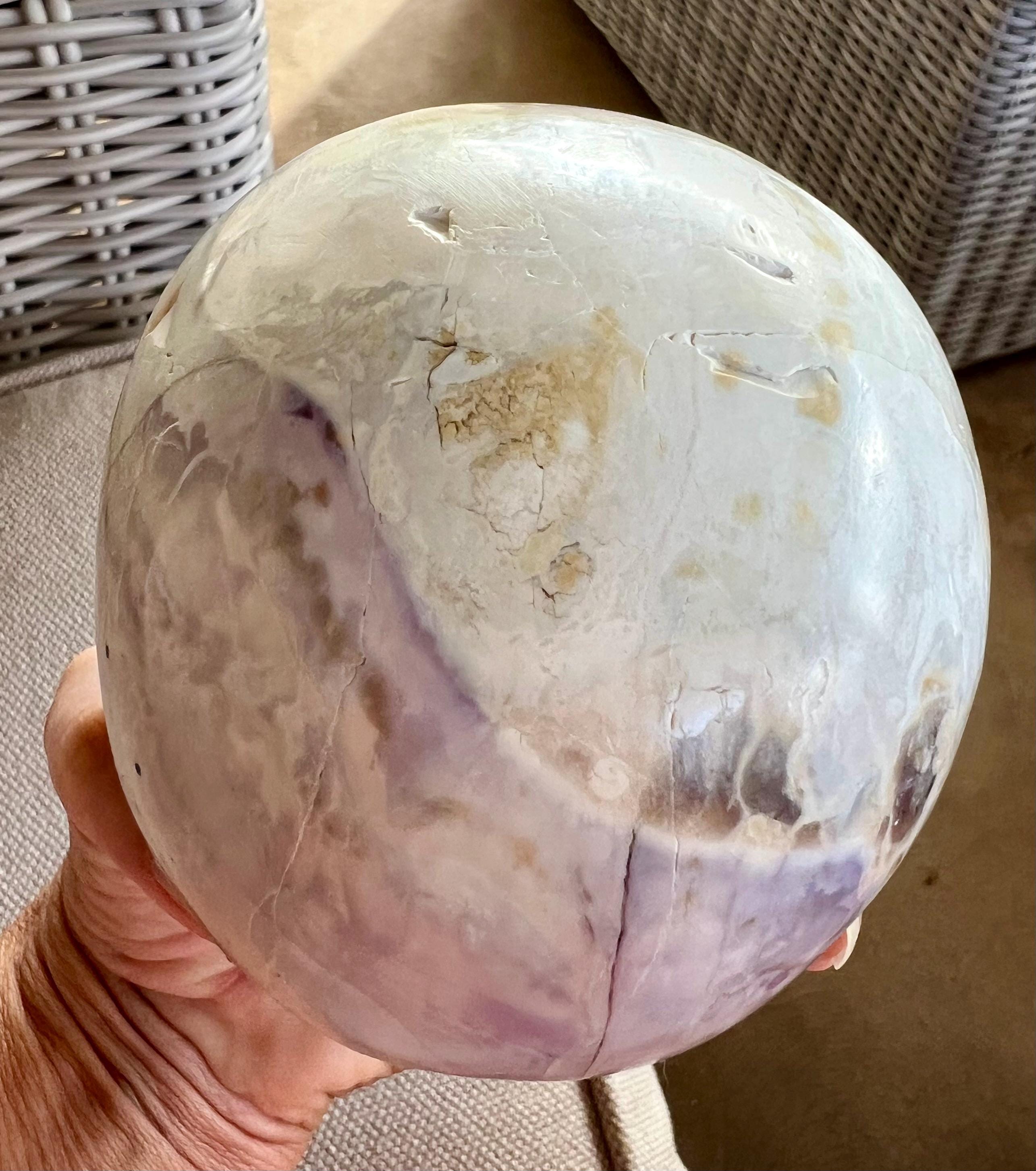 New Earth Crystal Skull