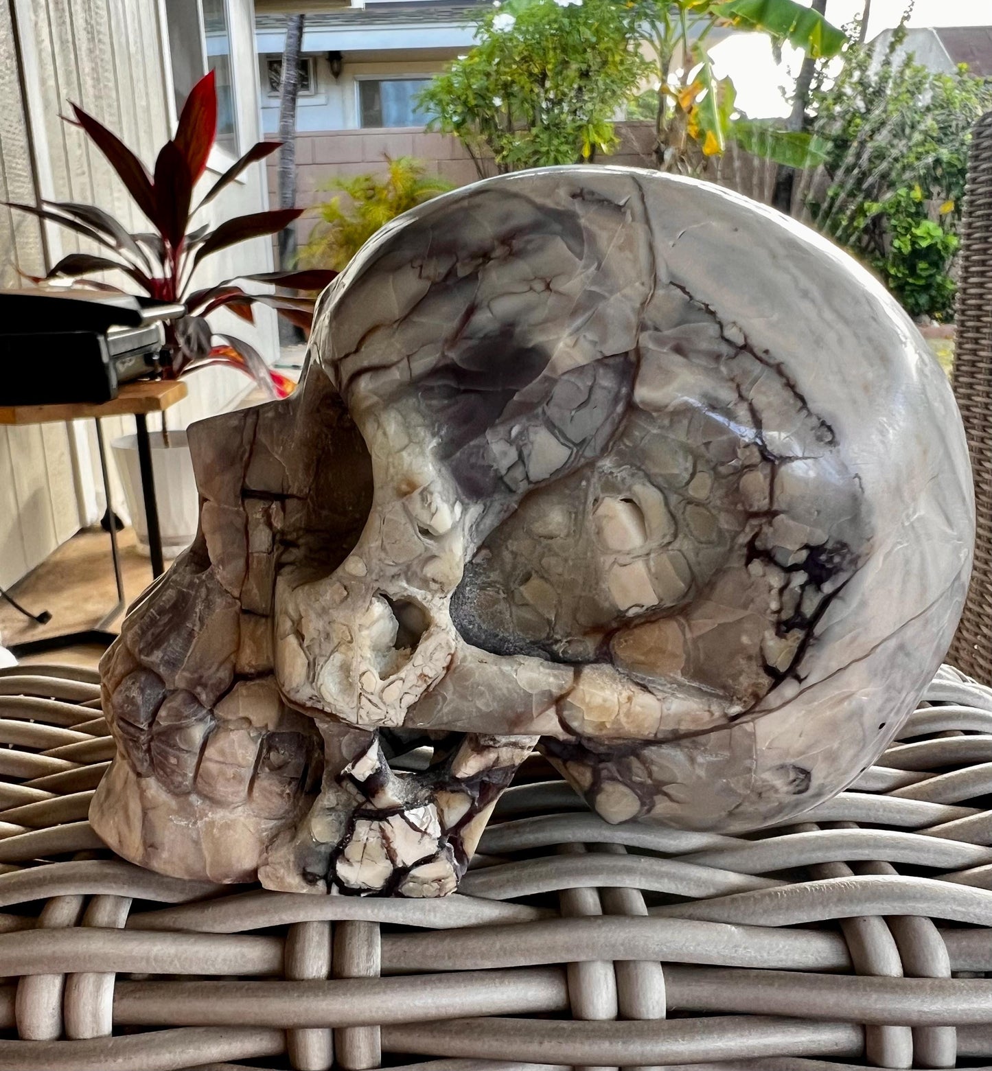 New Earth Crystal Skull